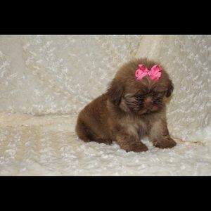 Meet your Posher, Daniela